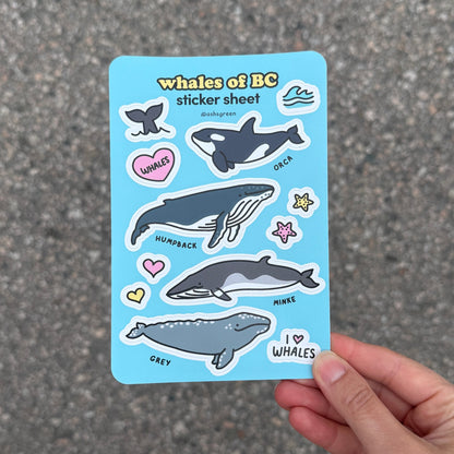 Whales of BC - Sticker Sheet
