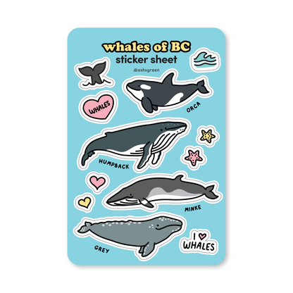 Whales of BC - Sticker Sheet